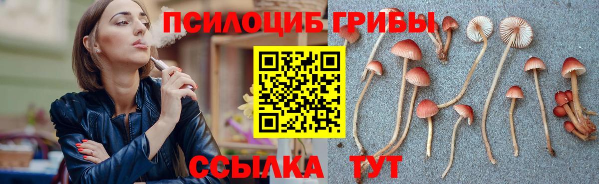 Галлюциногенные грибы мухоморы  Вход с VPN  Нефтекумск 